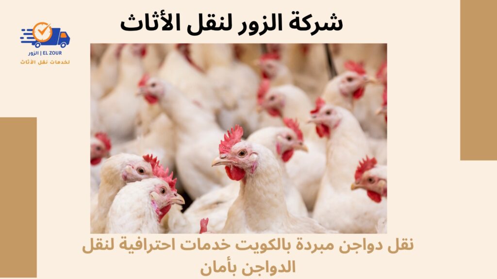 نقل دواجن مبردة بالكويت